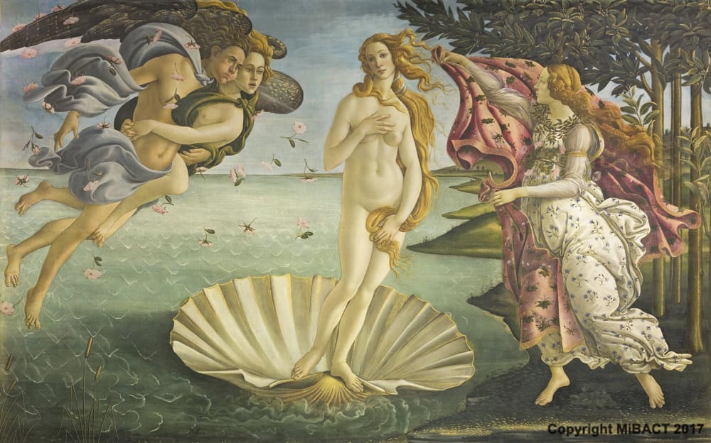 L’acqua raccontata dagli artisti: la Nascita di Venere