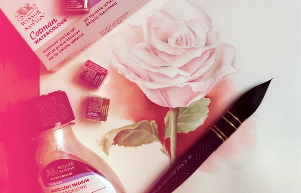 Come dipingere una rosa ad acquerello