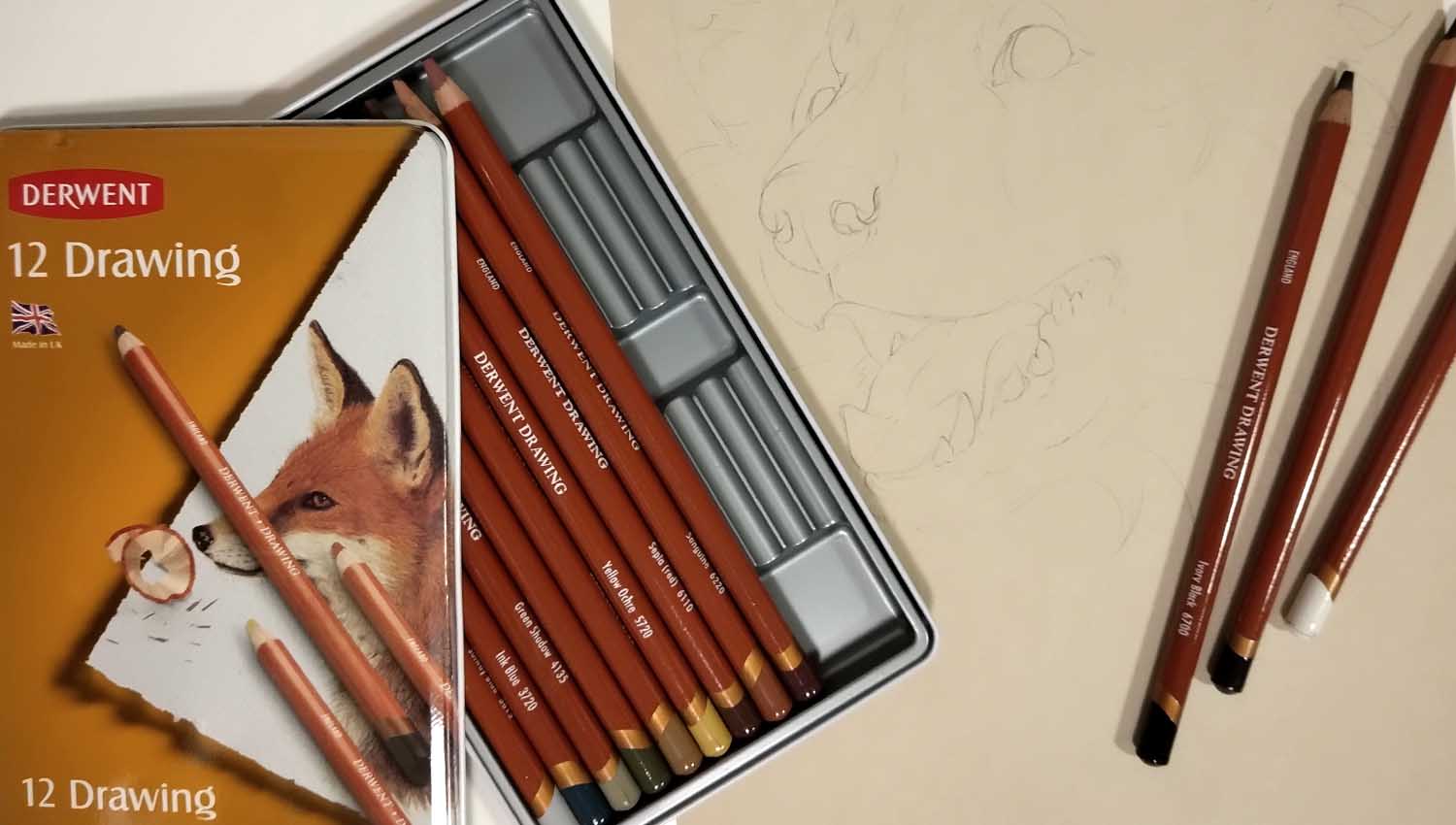 come disegnare un cane con le matite Derwent Drawing step 1