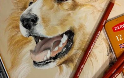 Come disegnare un cane con le matite Derwent Drawing