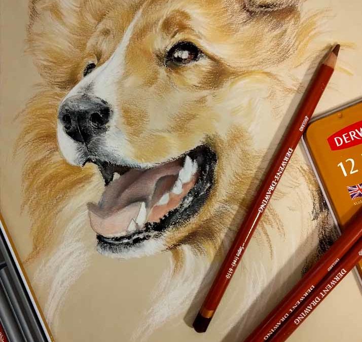 Come disegnare un cane con le matite Derwent Drawing